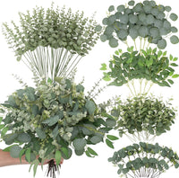 Daynight 120 Pcs Artificial Mixed Eucalyptus Stems Bulk,5 Kinds Faux Greenery Silver Dollar Eucalyptus Leaves Picks for DIY Wedding Bouquets Vase